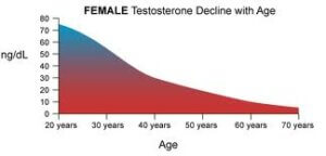 female testosterone decline